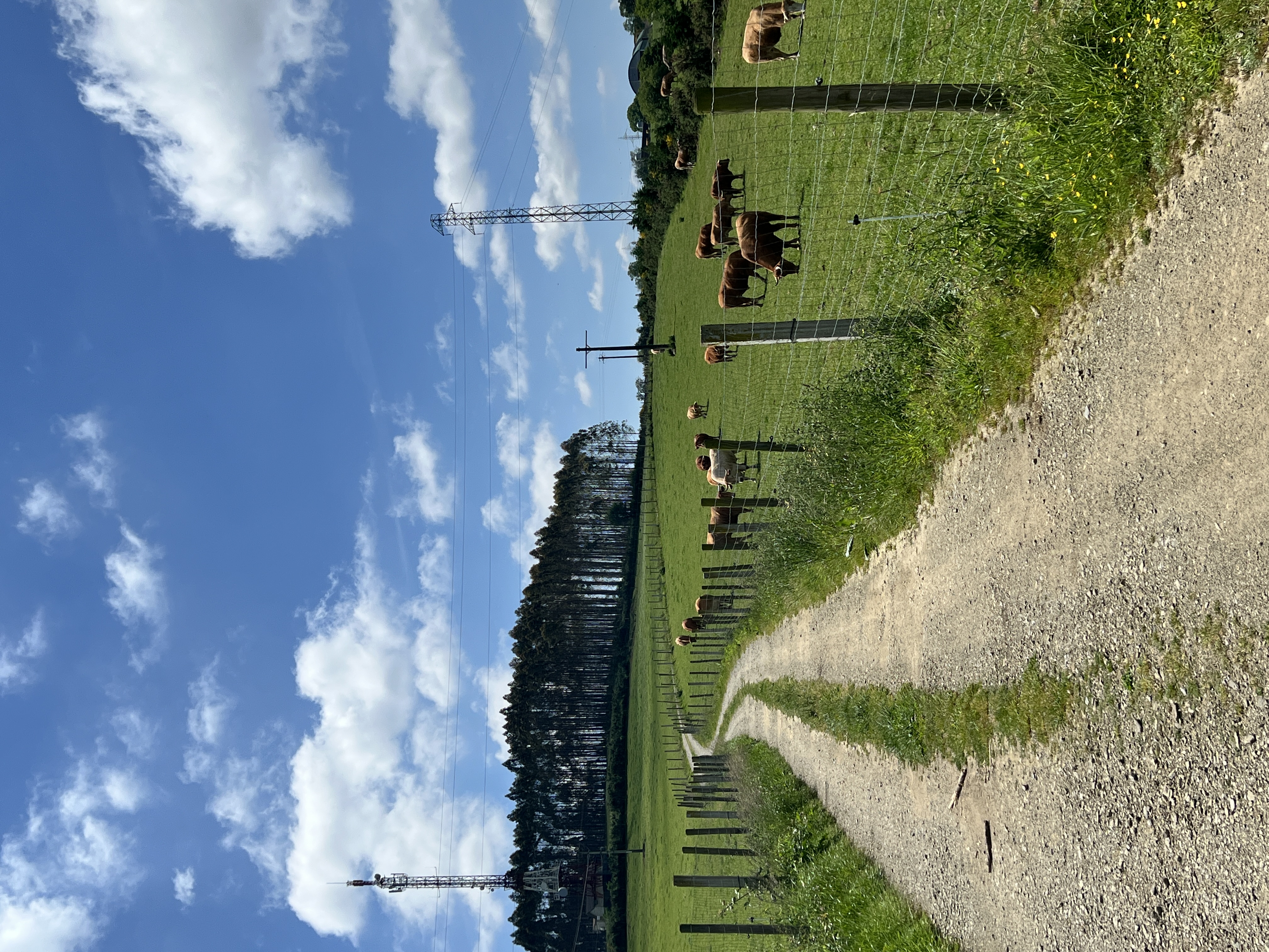 walking past a farm house